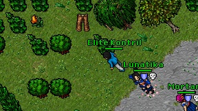 Elite Kontril on screen
