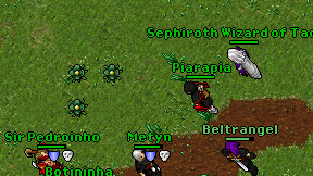Piarapia on screen