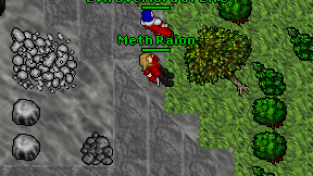 Meth Raion on screen