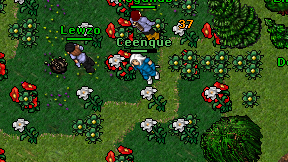 Ceenque on screen