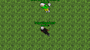 Naviqator on screen