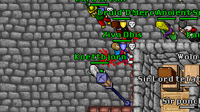 Koettbjorn on screen
