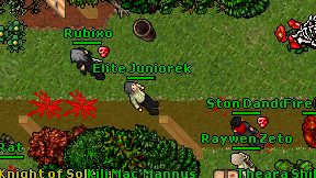 Elite Juniorek on screen