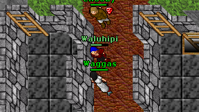 Waggas on screen