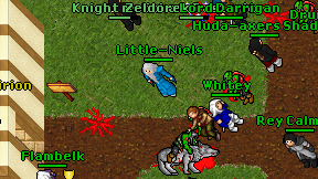 Little-Niels on screen