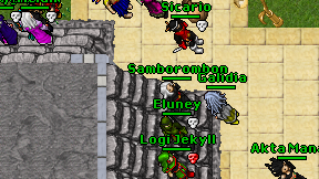 Samborombon on screen