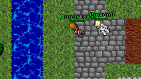 Magar caze on screen