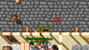 Buxidora on screen