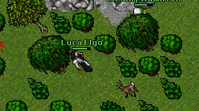 Luca Elgo on screen