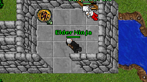 Elder Ninja on screen