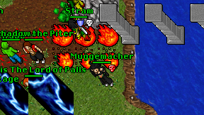 Muggemacher on screen