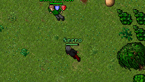 Serro on screen