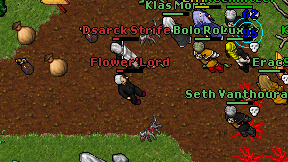 Flower'Lord on screen