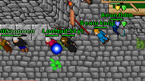 Looko on screen
