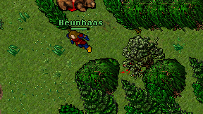 Beunhaas on screen