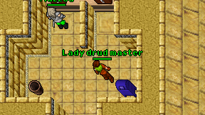 Lady drud master on screen