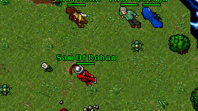 Sam Of Rohan on screen