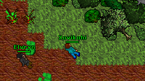 Xovikohi on screen