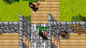 Fjaset on screen