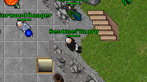 Sentinel'lizard on screen