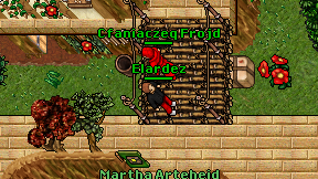 Elardez on screen