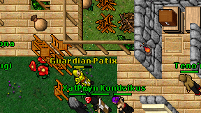 Guardian Patix on screen