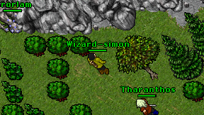 Wizard-simon on screen
