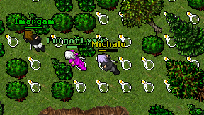 Michalo on screen