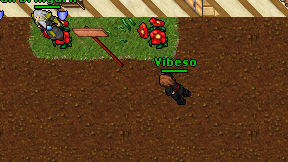 Vibeso on screen
