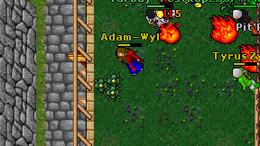 Adam-Wyl on screen