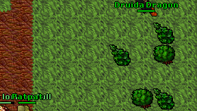 Druida Dragon on screen