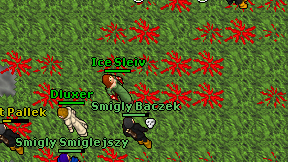 Ice Sleiv on screen