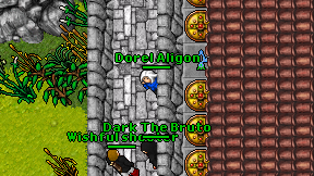Dorel Aligon on screen