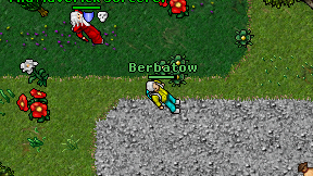 Berbatow on screen
