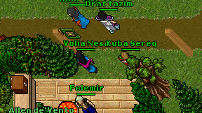 Volia Nesa on screen