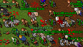 Magadaskas on screen