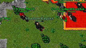 Shadow Rapier on screen