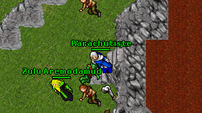 Parachutiste on screen