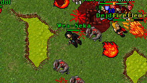 Wea-Seka on screen
