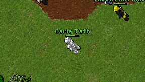 Carie Tath on screen