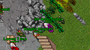 Sir Anacondas on screen