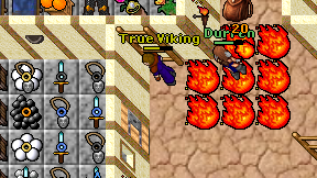 True Viking on screen