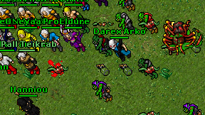 Darex Arko on screen