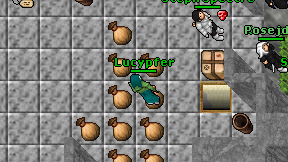 Lucypfer on screen