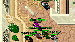 Shir Elyn on screen