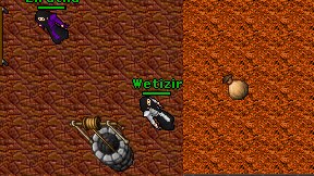 Wetizir on screen