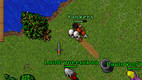 Yankers on screen