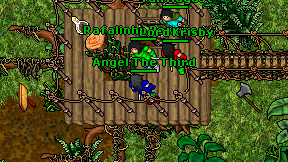 Angel The Third on screen
