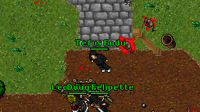 Tefus Endu on screen