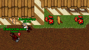 Angielus on screen